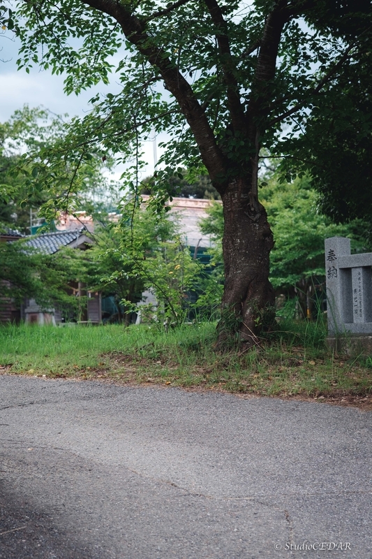 X-E2 作例