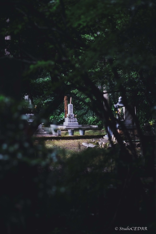 X-E2 作例