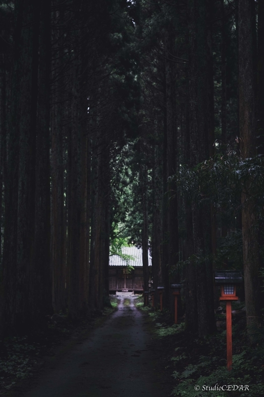 X-E2 作例