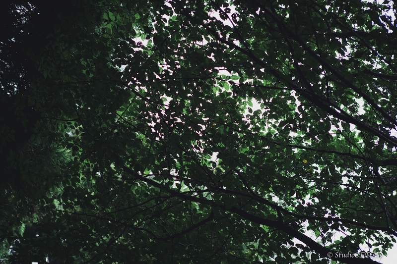 X-E2 作例