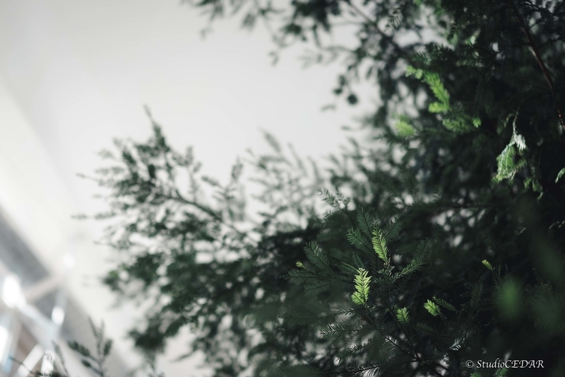 X-E2 作例