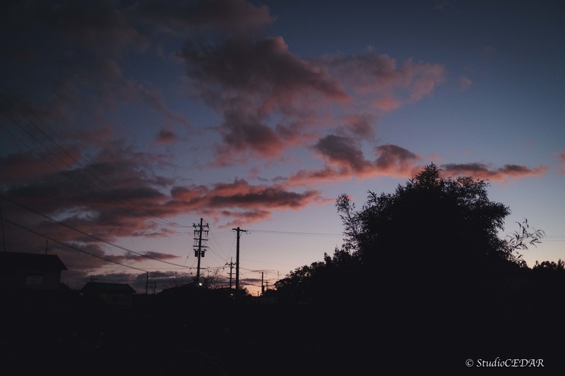 X100V 作例