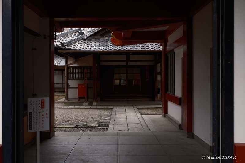 富士フィルム X-T5 撮って出し 作例