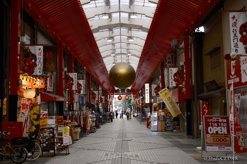 富士フィルム X-T5 撮って出し 作例
