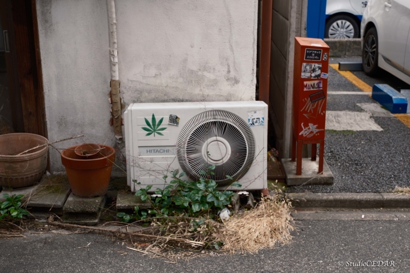富士フィルム X-T5 撮って出し 作例