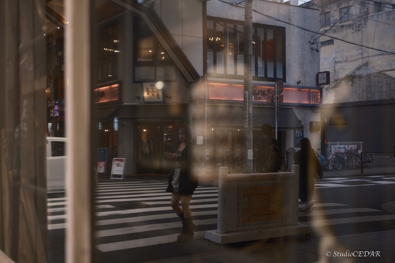 富士フィルム X-T5 撮って出し 作例