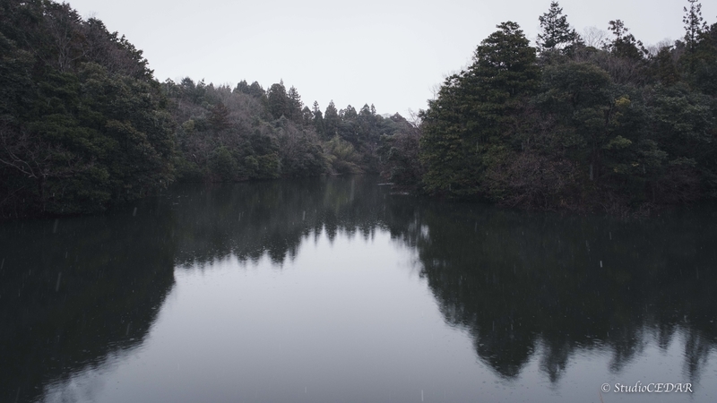 富士フィルム X-T5 作例