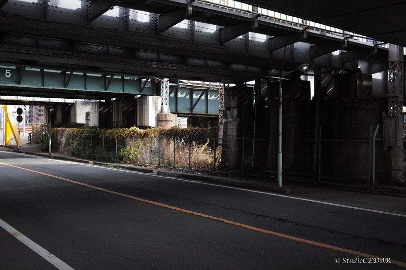 SIGMA DP2x 作例
