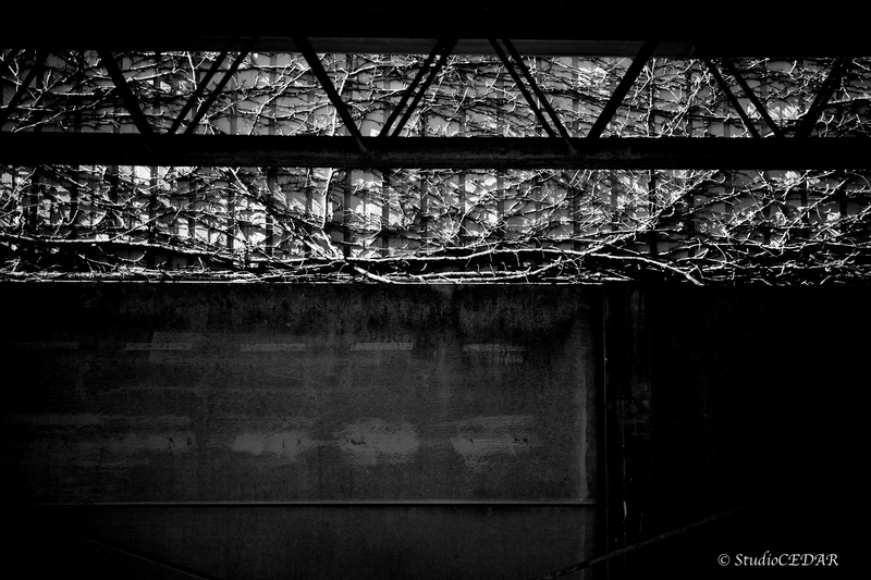 GR3x GRiiix GRⅢx 作例