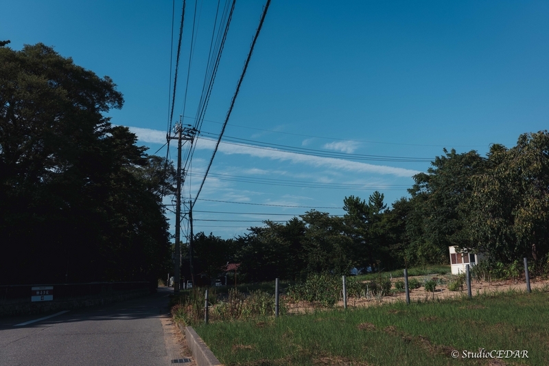 Body:Leica M10 Lens:Voightlanther ULTRON 35mm F2