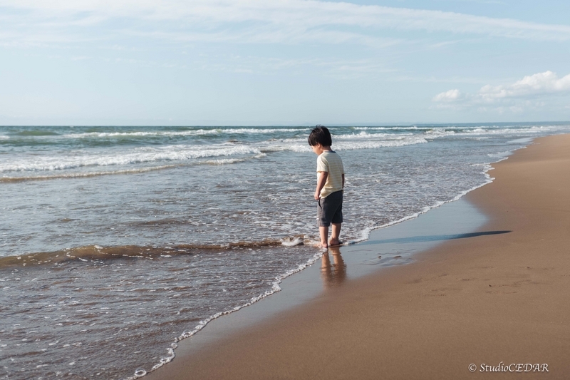 Body:Leica M10 Lens:Voightlanther ULTRON 35mm F2