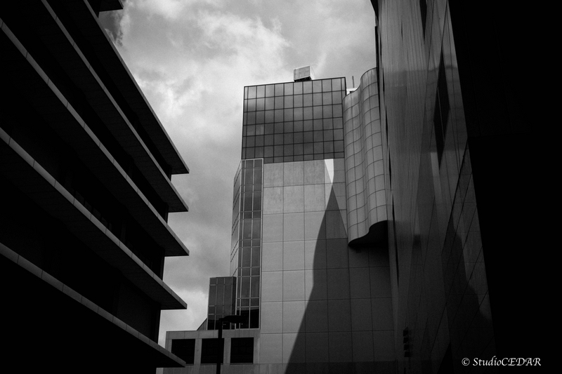 Body:Leica M10 Lens:Voightlanther ULTRON 35mm F2