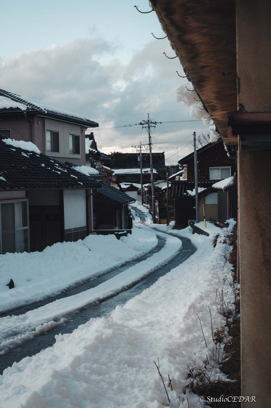 FUJIFILM X-T4 作例