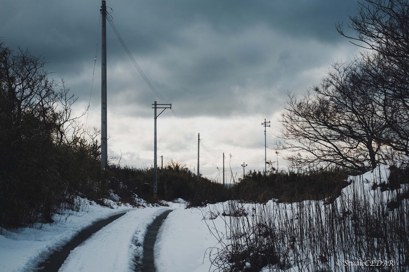 FUJIFILM X-T4 作例