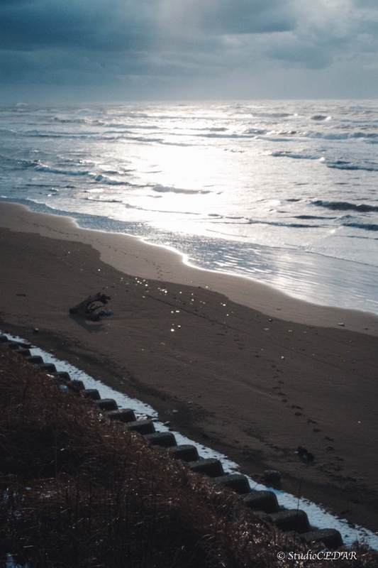 FUJIFILM X-T4 作例