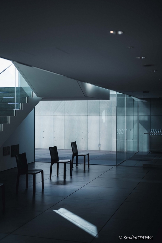 Body:Leica M10 Lens:Leica summilux-M f1.4/50mm ASPH. 4th