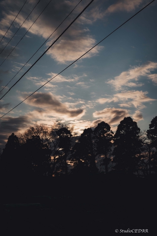 Sony α7s 作例