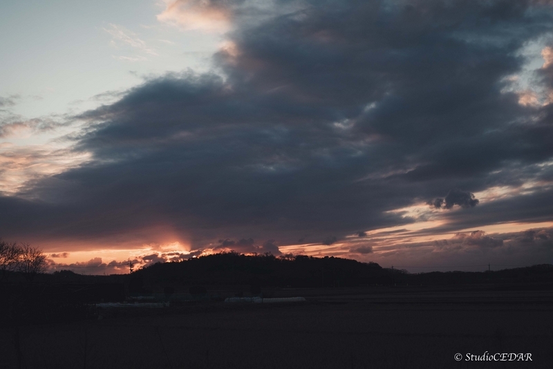 Sony α7s 作例