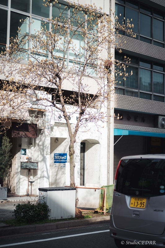 Body:Leica M10 Lens:Leica summilux-M f1.4/50mm ASPH. 4th