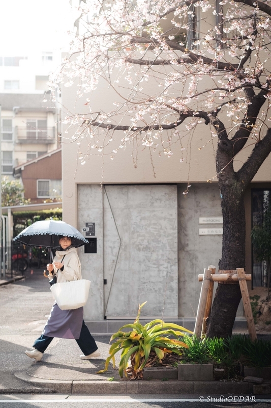Body:Leica M10 Lens:Leica summilux-M f1.4/50mm ASPH. 4th