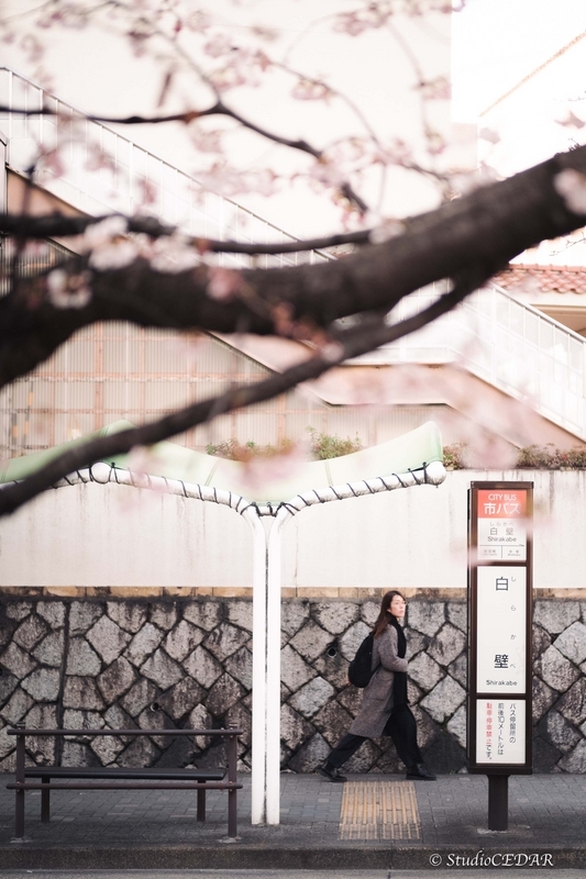 Body:Leica M10 Lens:Leica summilux-M f1.4/50mm ASPH. 4th