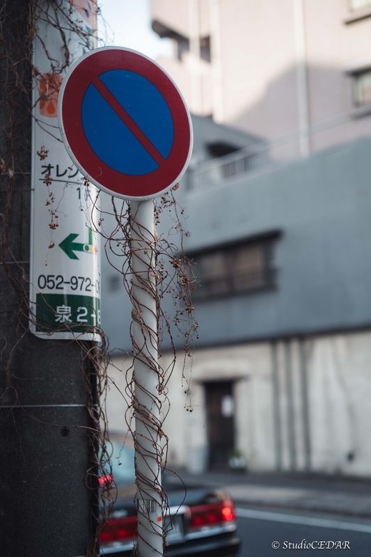 Body:Leica M10 Lens:Leica summilux-M f1.4/50mm ASPH. 4th