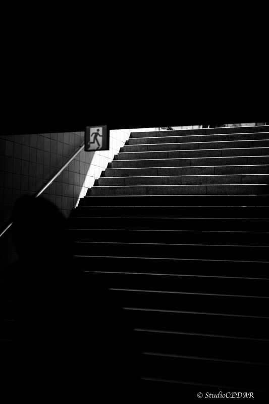 Body:Leica M10 Lens:Summilux 50mm F1.4 ASPH. 4th
