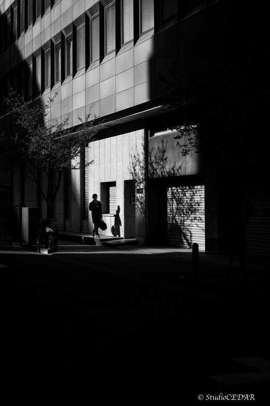 Body:Leica M10 Lens:Summilux 50mm F1.4 ASPH. 4th