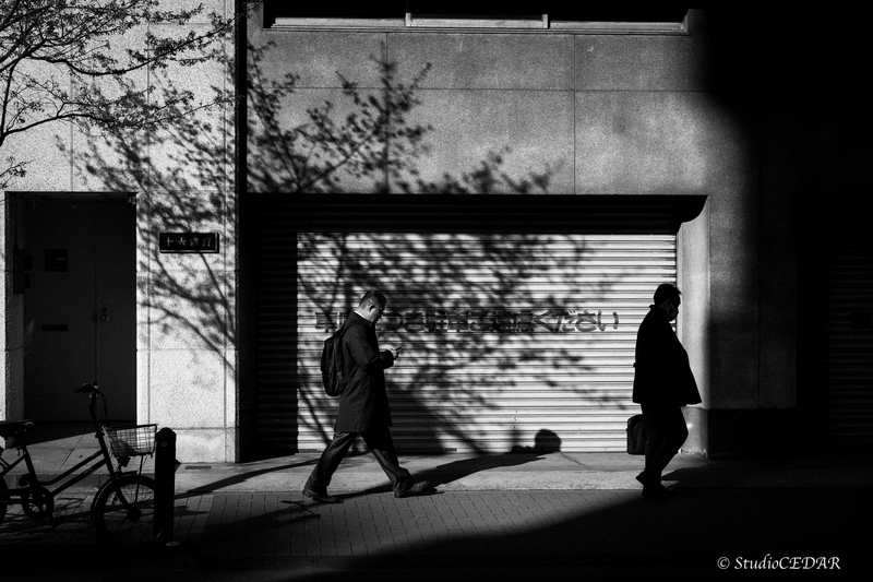 Body:Leica M10 Lens:Summilux 50mm F1.4 ASPH. 4th