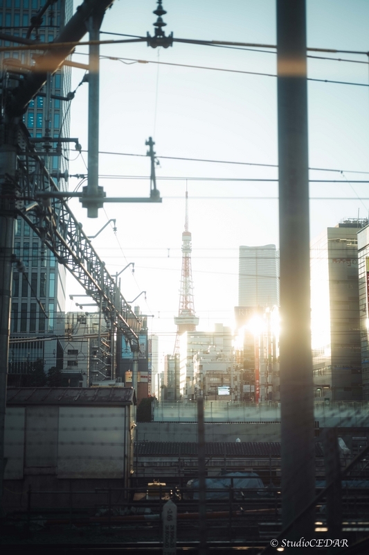 Body:Leica M10 Lens:Summilux 50mm F1.4 ASPH. 4th