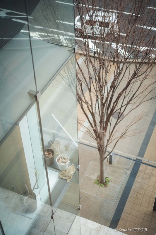 Body:Leica M10 Lens:Summilux 50mm F1.4 ASPH. 4th