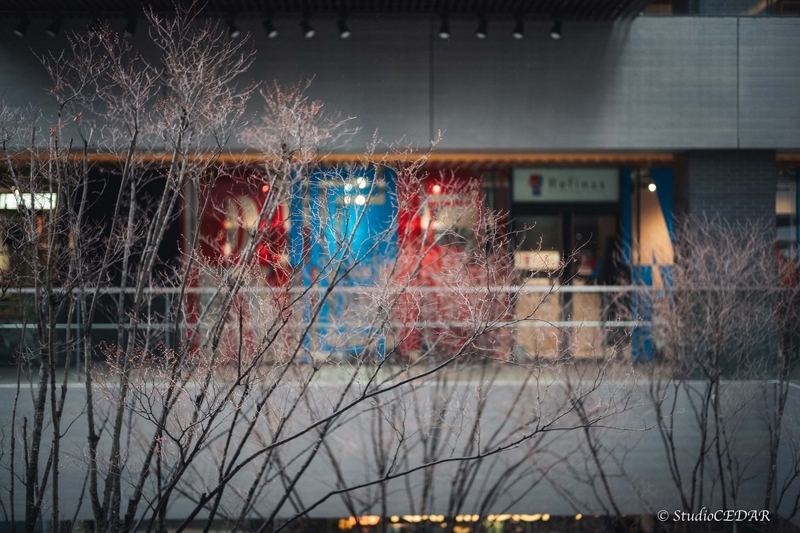 Body:Leica M10 Lens:Summilux 50mm F1.4 ASPH. 4th