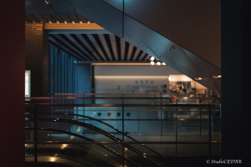 Body:Leica M10 Lens:Summilux 50mm F1.4 ASPH. 4th