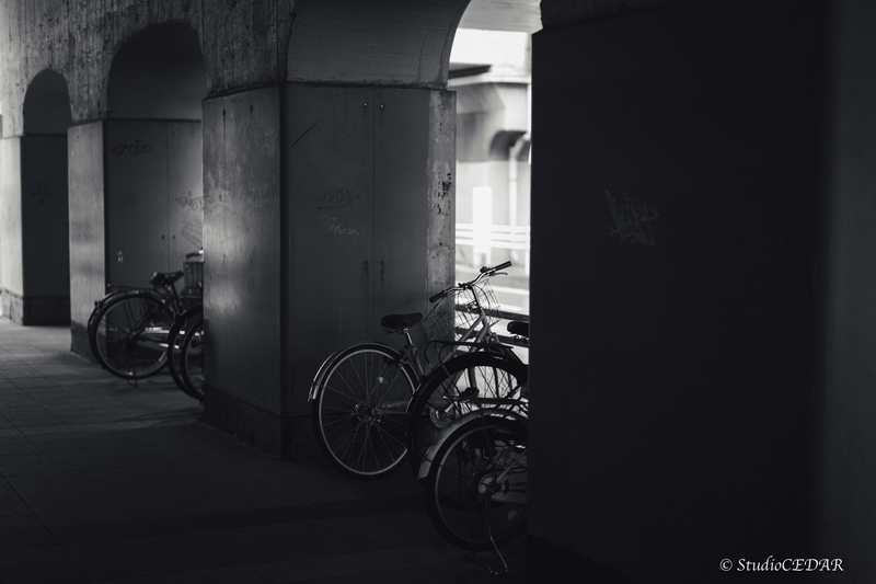 Body:Leica M10 Lens:Summilux 50mm F1.4 ASPH. 4th