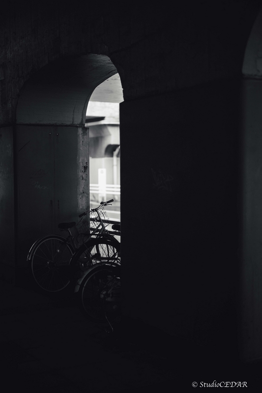 Body:Leica M10 Lens:Summilux 50mm F1.4 ASPH. 4th