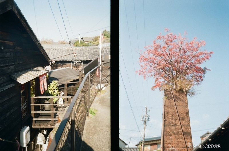 Kodak EKTAR H35N 作例