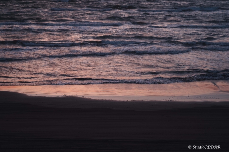 Body:Leica M10 Lens:Summilux 50mm F1.4 ASPH. 4th