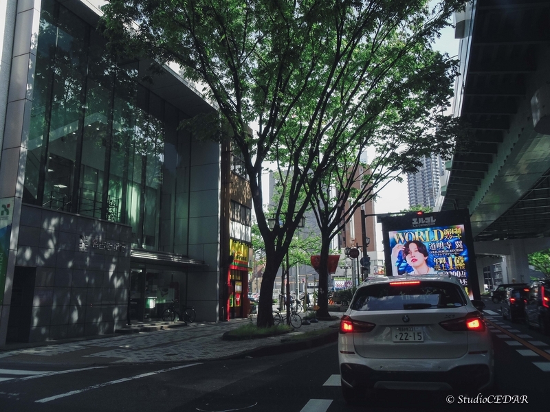 【作例あり】PENTAX OPTIO LS465 CCDセンサー つい持ち出したくなるオールドコンデジPENTX Optio LS465