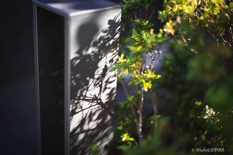 Body:Sony a7s Lens:Summilux 50mm F1.4 ASPH. 4th