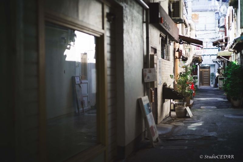 Body:Sony a7s Lens:Summilux 50mm F1.4 ASPH. 4th