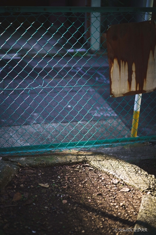 Body:Sony a7s Lens:Summilux 50mm F1.4 ASPH. 4th