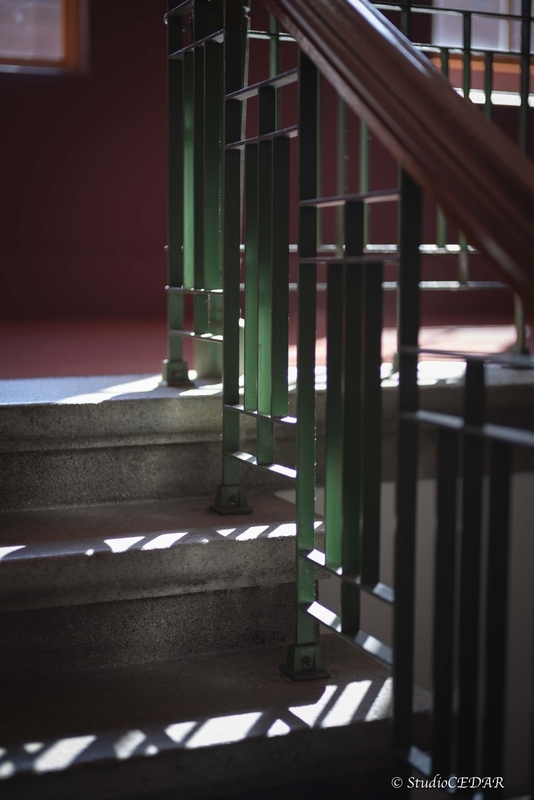 Body:Sony a7s Lens:Summilux 50mm F1.4 ASPH. 4th