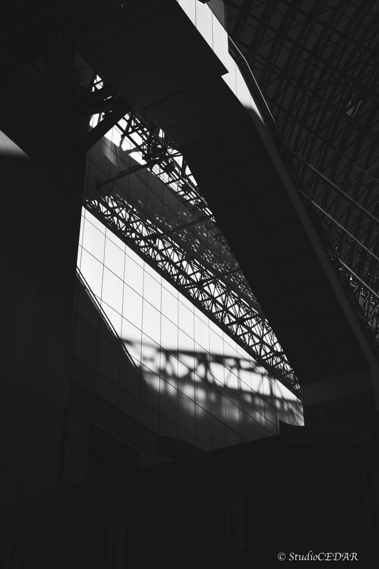 Body:Leica M10 Lens:Summilux 50mm F1.4 ASPH. 4th