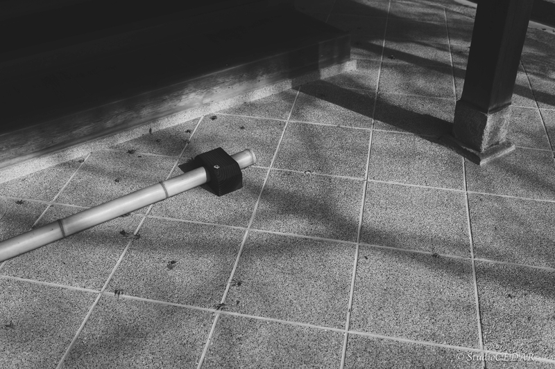 LUMIX S9 作例