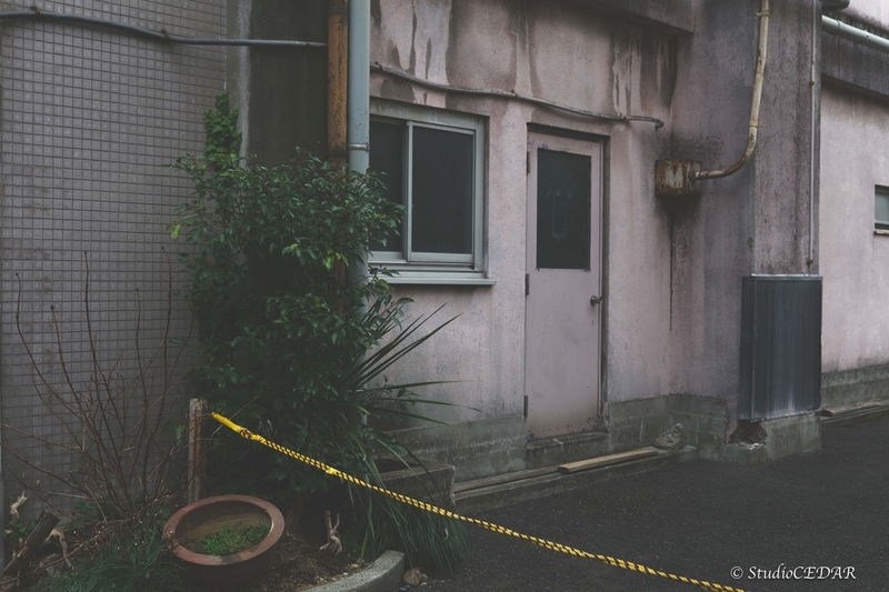 LUMIX S9 作例