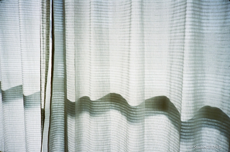Rollei 35AF 作例
