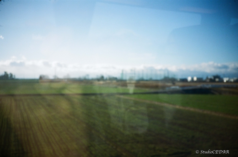 Rollei 35AF 作例