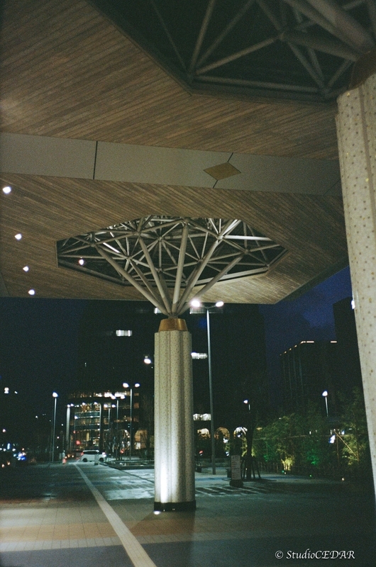 Rollei 35AF 作例