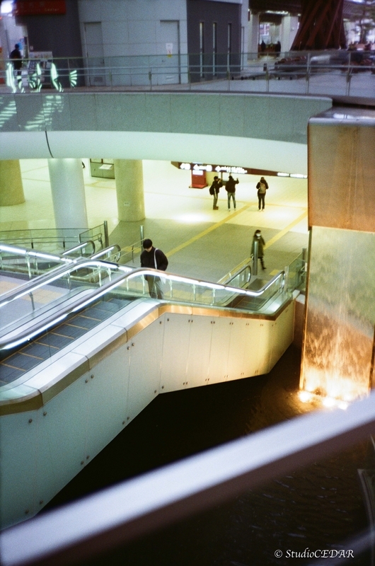 Rollei 35AF 作例