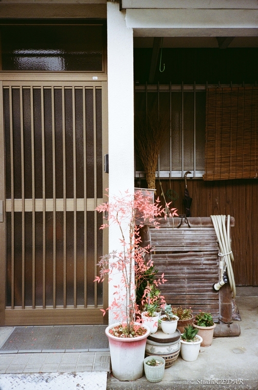 Rollei 35AF 作例
